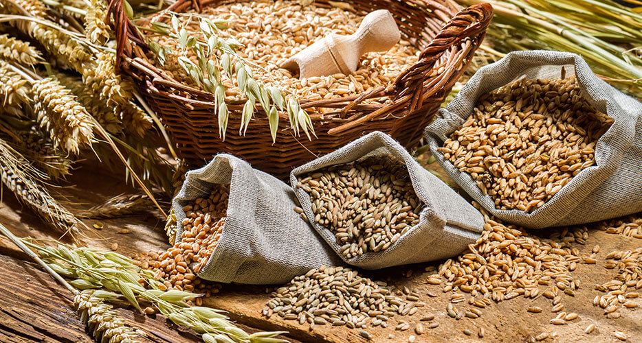 Carboidrati, zuccheri semplici e zuccheri aggiunti: tra necessità e dolci alternative… Carboidrati, zuccheri semplici e zuccheri aggiunti: tra necessità e dolci alternative…
