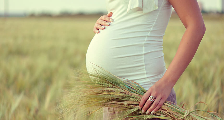 Pregnancy wholefood well being